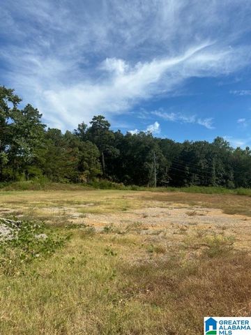 3109 SUNRISE LANE, Birmingham, AL 35242