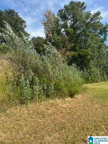 3109 SUNRISE LANE, Birmingham, AL 35242