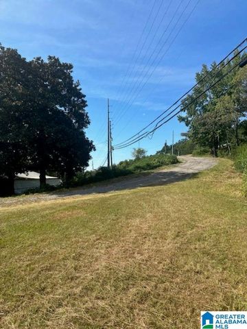 3109 SUNRISE LANE, Birmingham, AL 35242