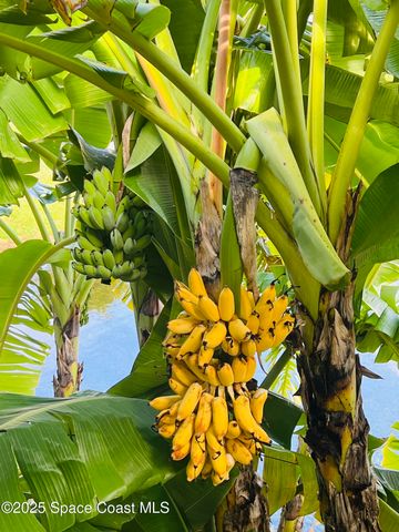 1800 Kole Place, 104, Melbourne, FL 32935