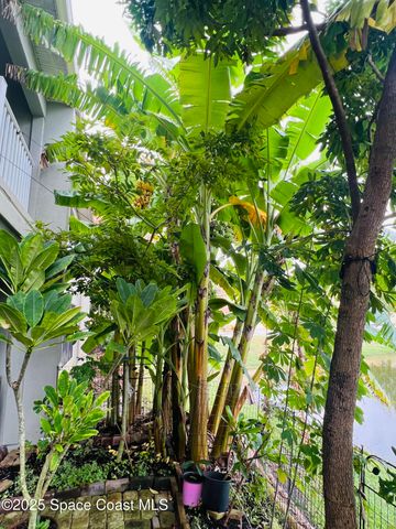 1800 Kole Place, 104, Melbourne, FL 32935