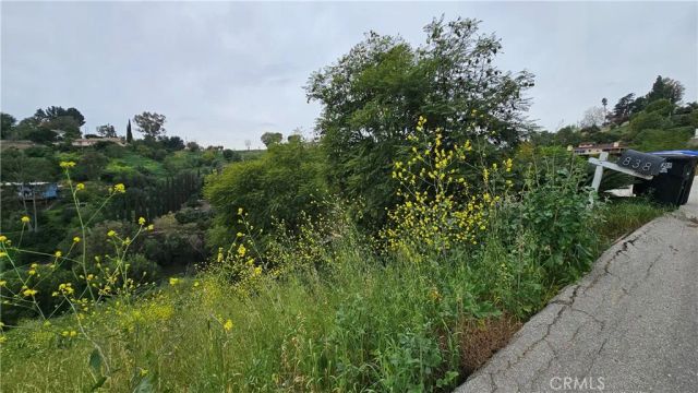 948 Picaacho, La Habra Heights, CA 90631