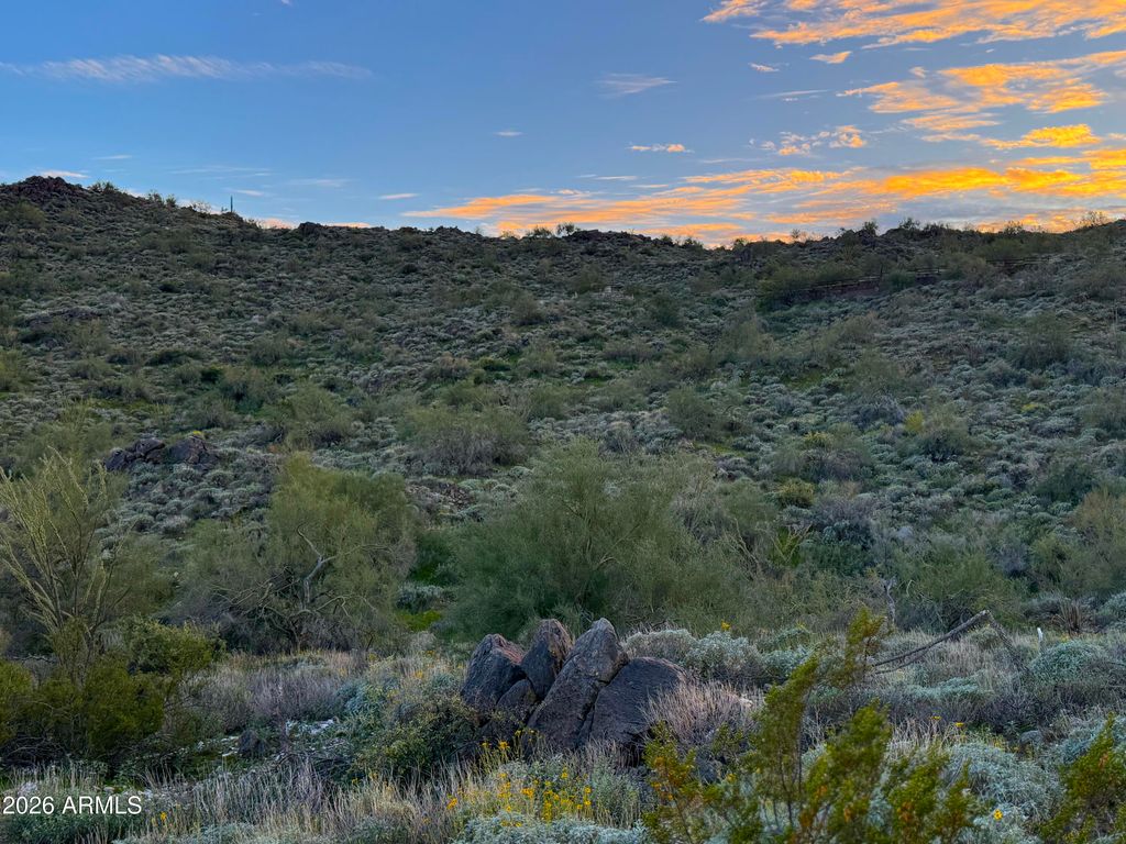 15529 N JAVELINA Trail 216, Fountain Hills, AZ 85268 — photo 5