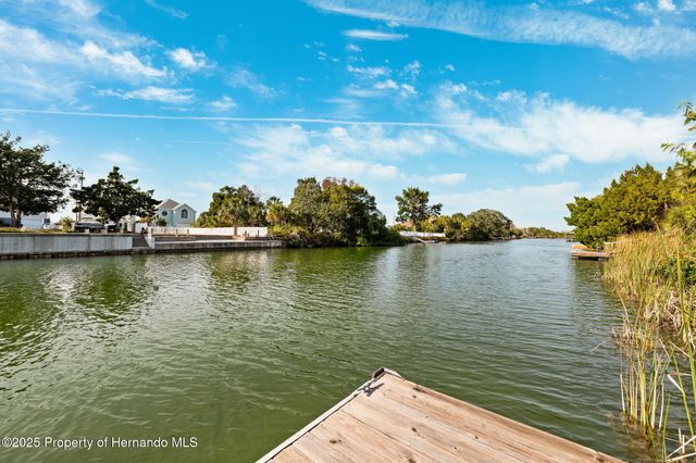 3215 Rose Arbor Drive, Hernando Beach, FL 34607