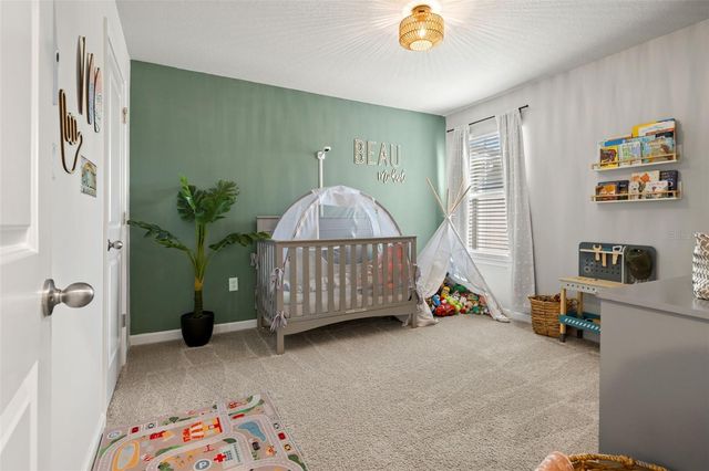 26008 WOVEN WICKER BEND, Lutz, FL 33559