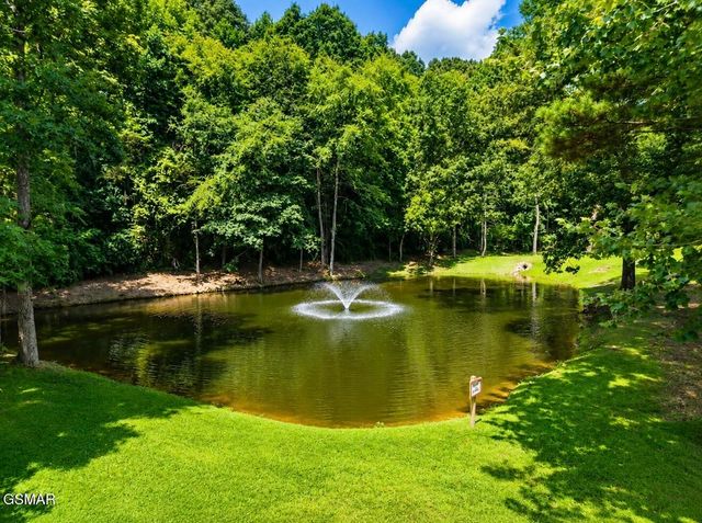136 Cove Springs Drive, Dandridge, TN 37725