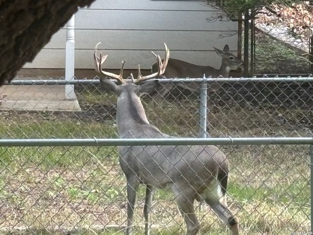 6002 Forest Bend, San Antonio, TX 78240