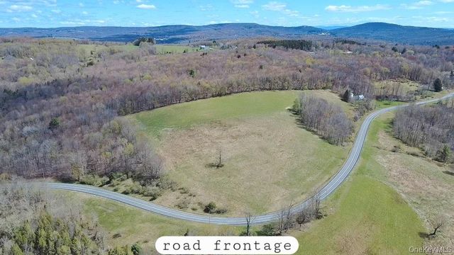 1089 Briscoe Road, Swan Lake, NY 12783