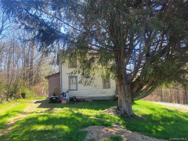 1089 Briscoe Road, Swan Lake, NY 12783
