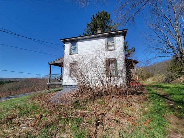 1089 Briscoe Road, Swan Lake, NY 12783