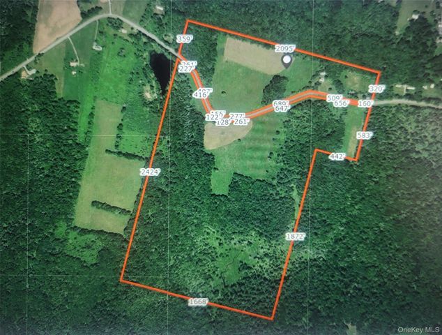 1089 Briscoe Road, Swan Lake, NY 12783