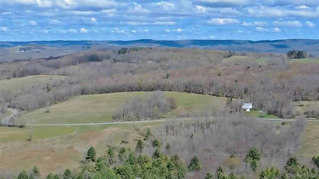 1089 Briscoe Road, Swan Lake, NY 12783