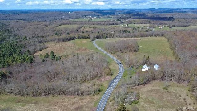 1089 Briscoe Road, Swan Lake, NY 12783