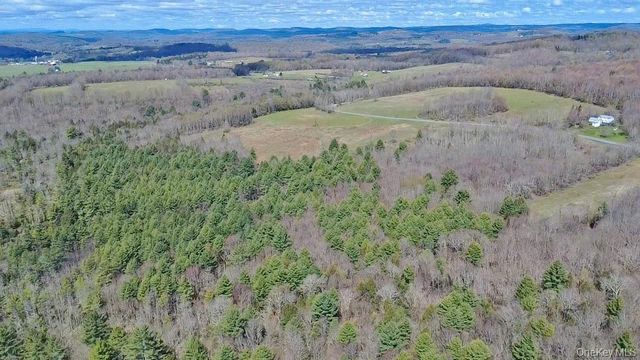 1089 Briscoe Road, Swan Lake, NY 12783