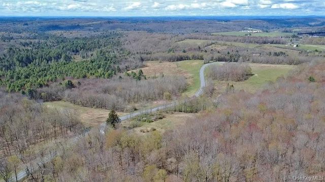 1089 Briscoe Road, Swan Lake, NY 12783