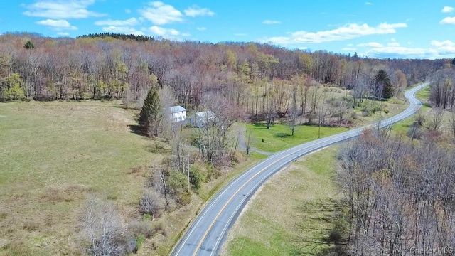 1089 Briscoe Road, Swan Lake, NY 12783