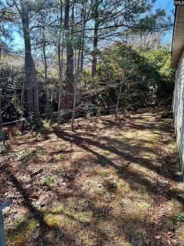 209 Maple Tree Court, Lexington, SC 29073