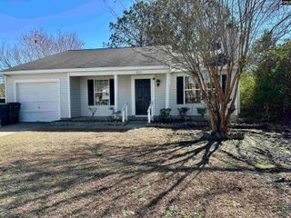 209 Maple Tree Court, Lexington, SC 29073