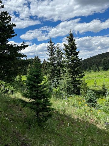 Lot 3091 Sterenson Place, Fort Garland, CO 81133