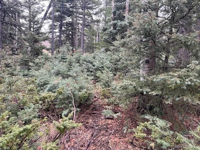Lot 3091 Sterenson Place, Fort Garland, CO 81133