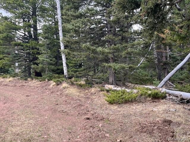Lot 3091 Sterenson Place, Fort Garland, CO 81133