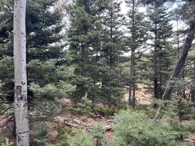 Lot 3091 Sterenson Place, Fort Garland, CO 81133