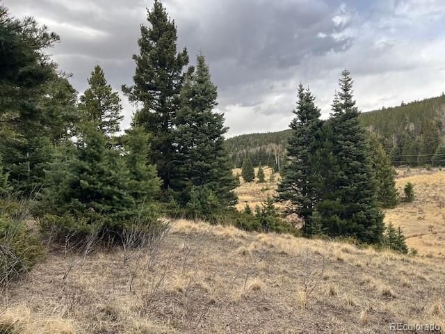 Lot 3091 Sterenson Place, Fort Garland, CO 81133