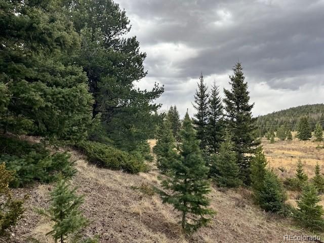 Lot 3091 Sterenson Place, Fort Garland, CO 81133