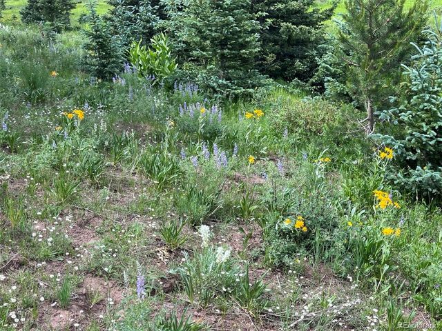 Lot 3091 Sterenson Place, Fort Garland, CO 81133
