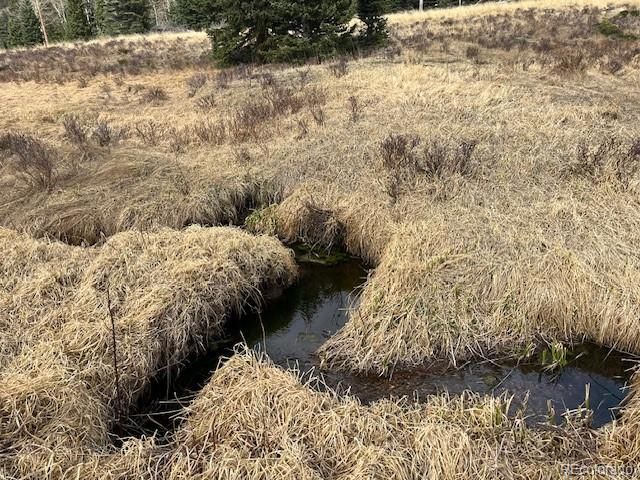 Lot 3091 Sterenson Place, Fort Garland, CO 81133
