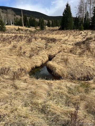 Lot 3091 Sterenson Place, Fort Garland, CO 81133
