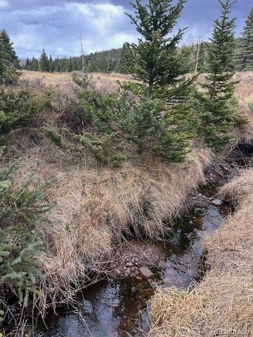 Lot 3091 Sterenson Place, Fort Garland, CO 81133