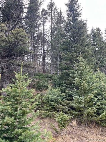 Lot 3091 Sterenson Place, Fort Garland, CO 81133