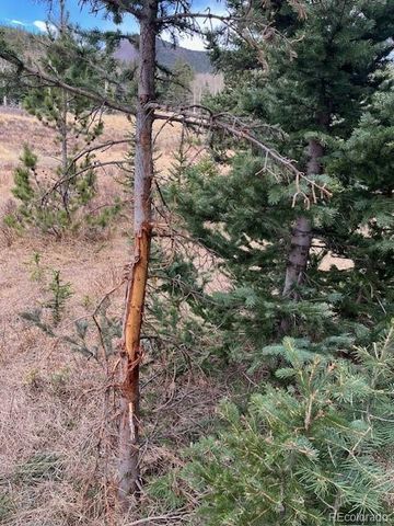 Lot 3091 Sterenson Place, Fort Garland, CO 81133