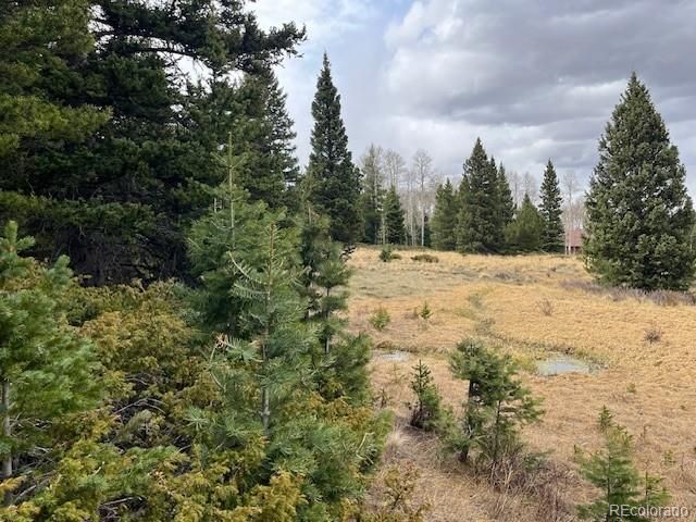Lot 3091 Sterenson Place, Fort Garland, CO 81133
