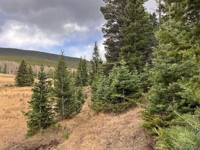 Lot 3091 Sterenson Place, Fort Garland, CO 81133
