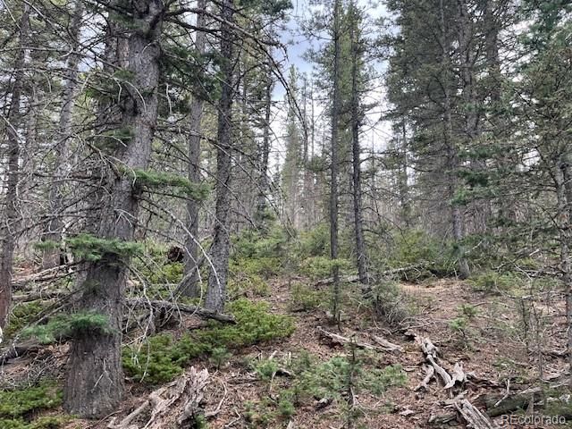 Lot 3091 Sterenson Place, Fort Garland, CO 81133