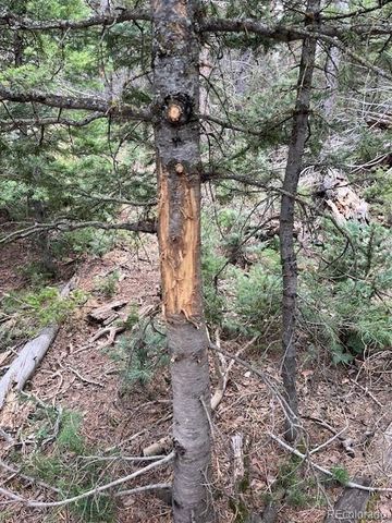 Lot 3091 Sterenson Place, Fort Garland, CO 81133