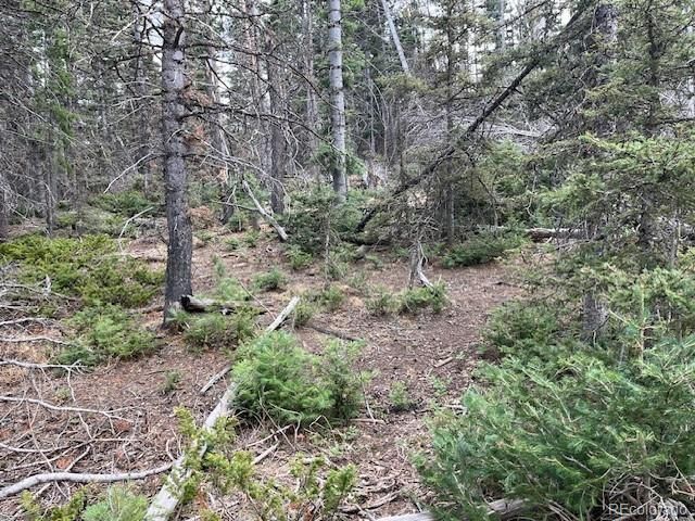 Lot 3091 Sterenson Place, Fort Garland, CO 81133