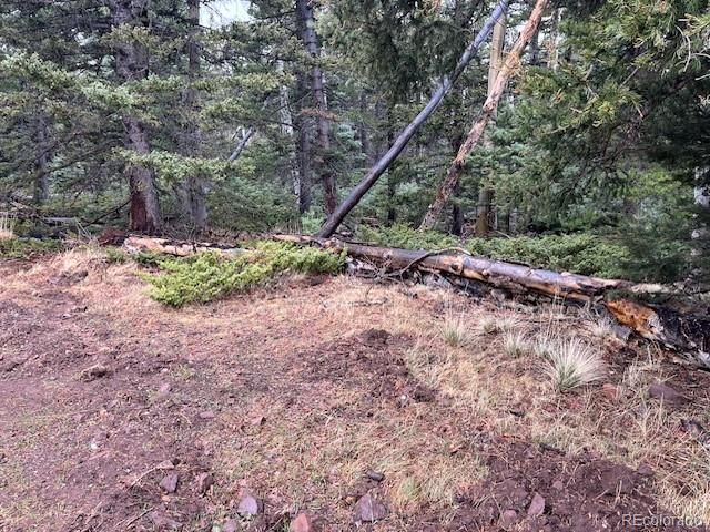 Lot 3091 Sterenson Place, Fort Garland, CO 81133