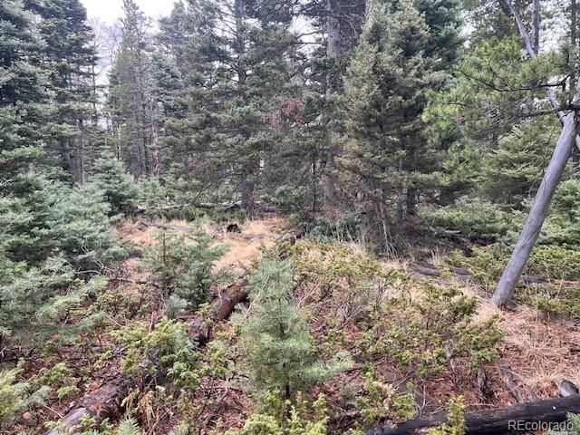 Lot 3091 Sterenson Place, Fort Garland, CO 81133