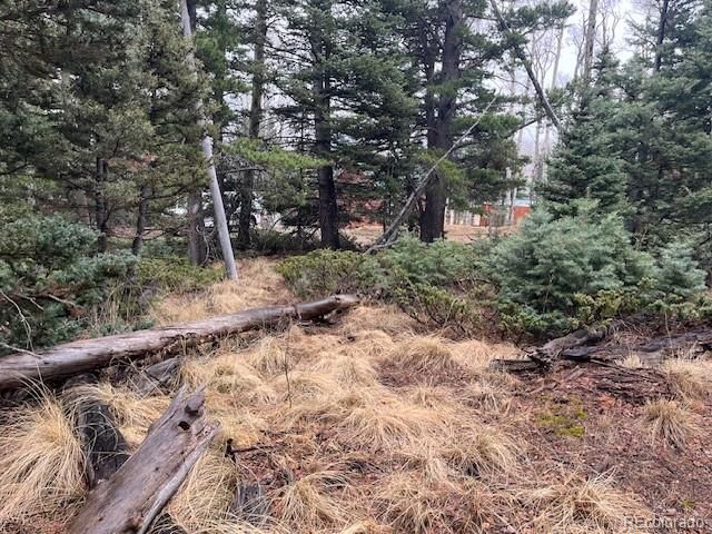 Lot 3091 Sterenson Place, Fort Garland, CO 81133