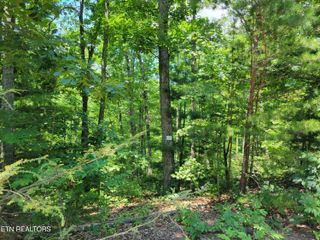 Lot 45 Hickory Tree St, Sevierville, TN 37876