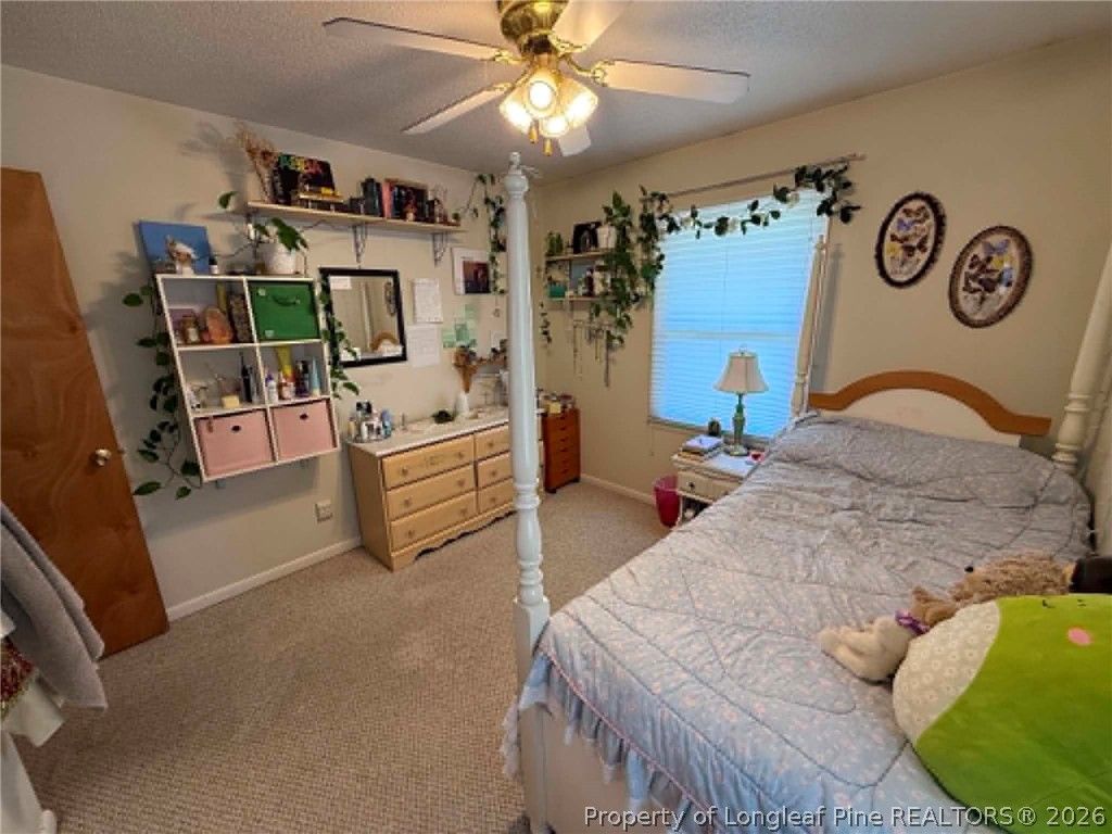 487 Wright Road, Vass, NC 28394 — photo 9