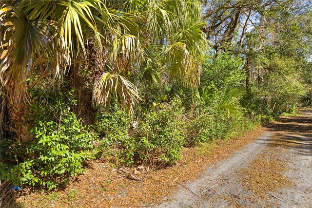 9355 E TIN PAN ALLEY, Inverness, FL 34453