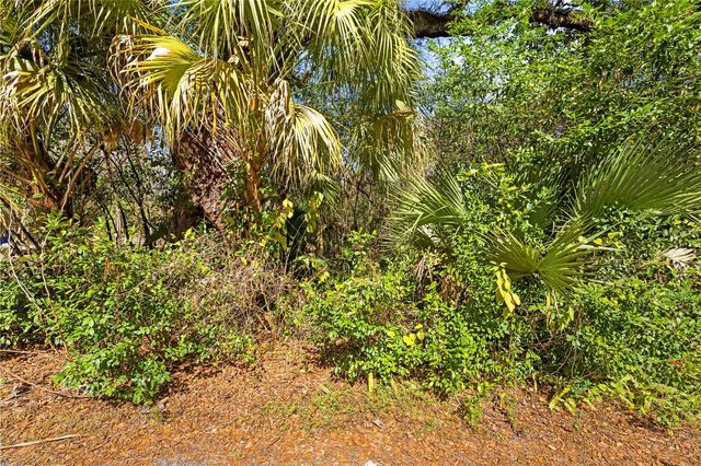 9355 E TIN PAN ALLEY, Inverness, FL 34453