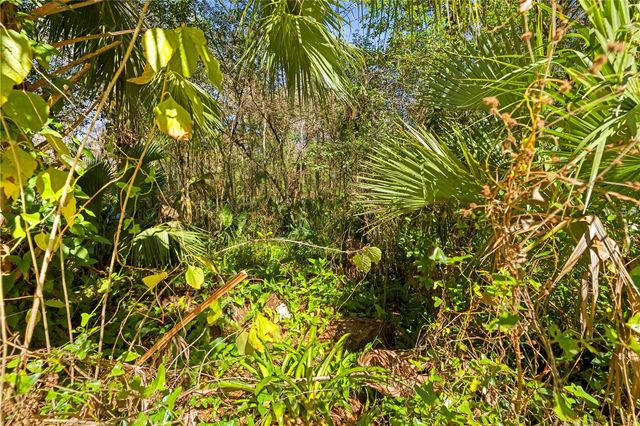 9355 E TIN PAN ALLEY, Inverness, FL 34453