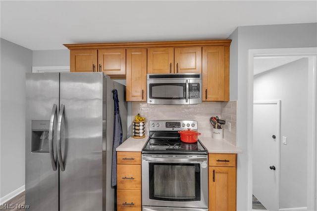 311 E 262nd Street, Euclid, OH 44132