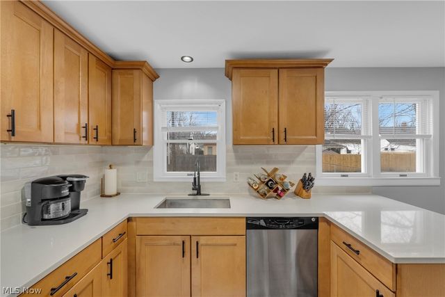 311 E 262nd Street, Euclid, OH 44132