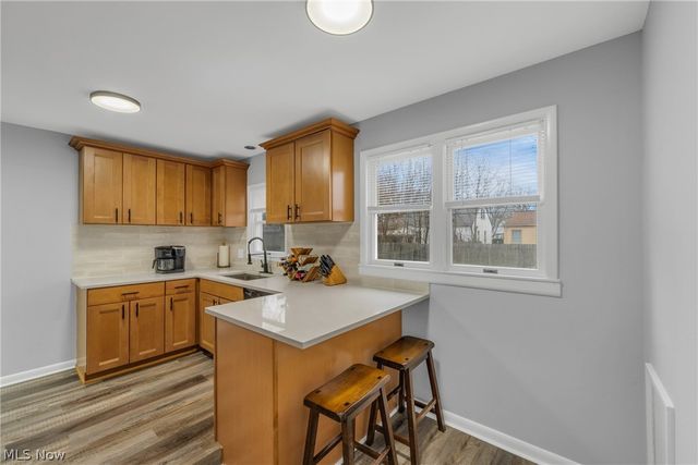 311 E 262nd Street, Euclid, OH 44132